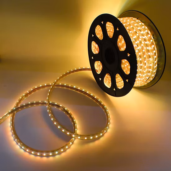 Ruban lumineux LED 220 V avec télécommande