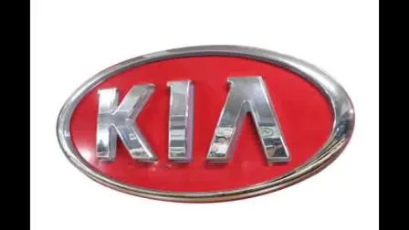 Logo de voiture LED rétroéclairé personnalisé intérieur et extérieur avec nom de marque